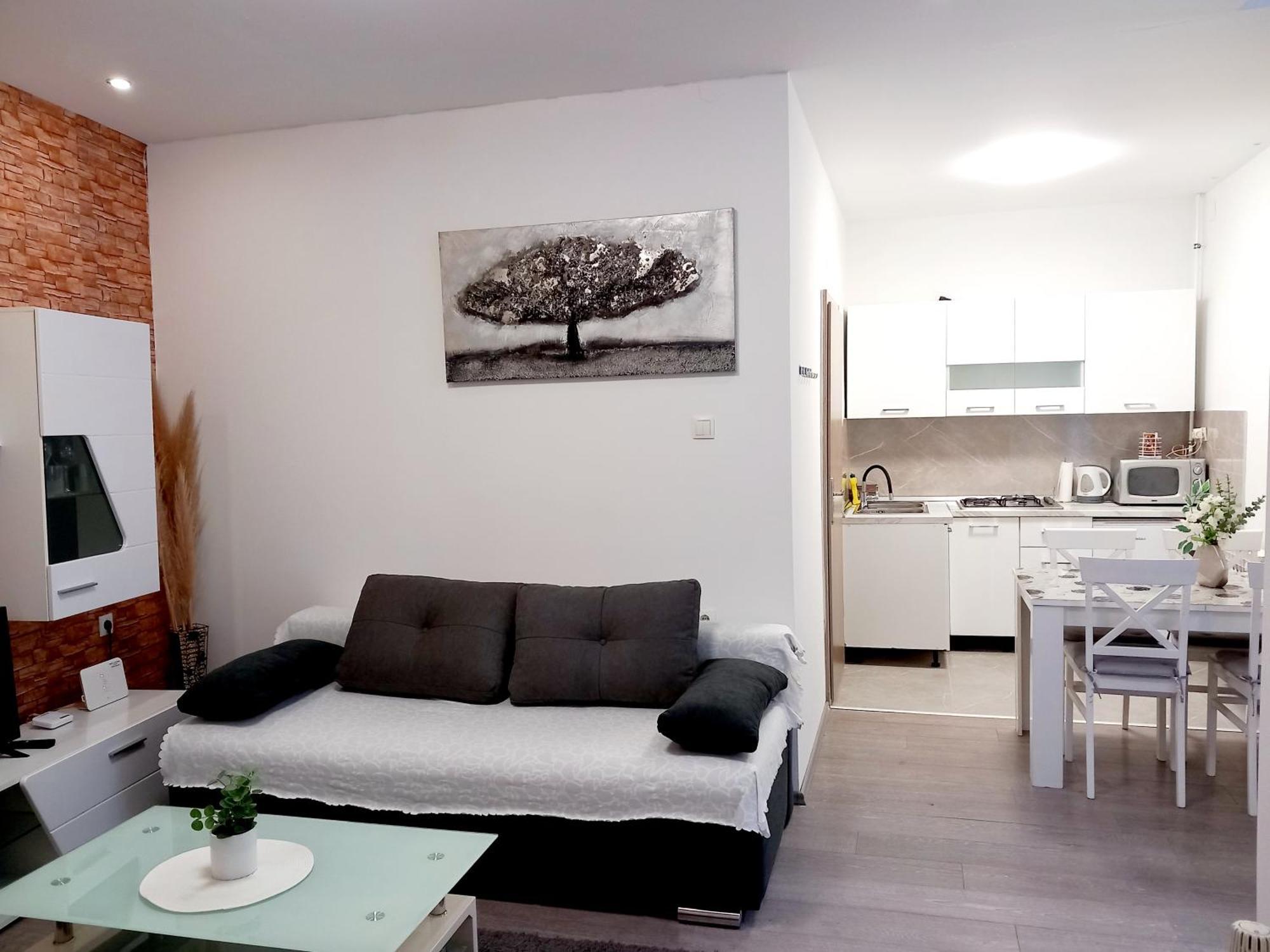 סלאבונסקי ברוד Apartment Centar חדר תמונה